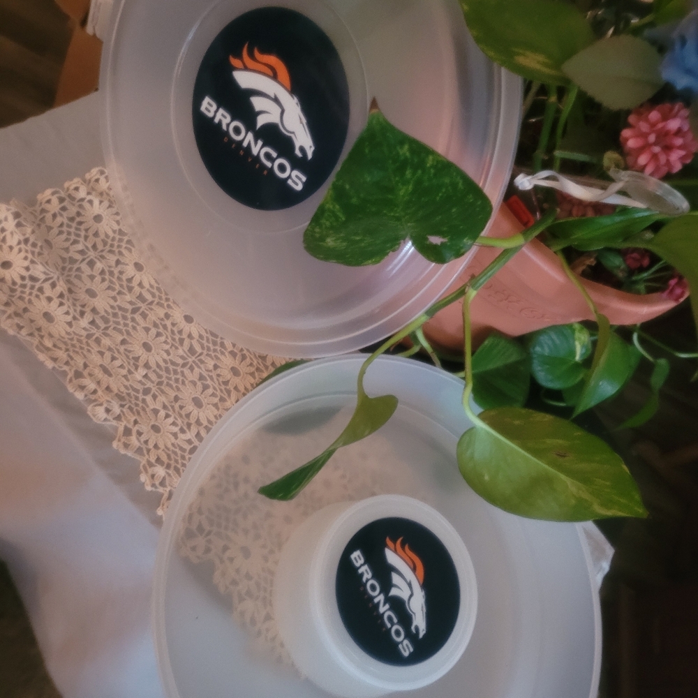 Broncos Server